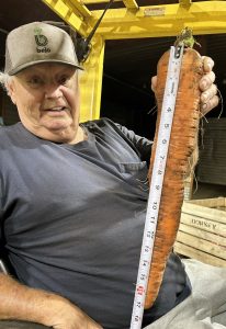 Dorsey Brian and Carrot